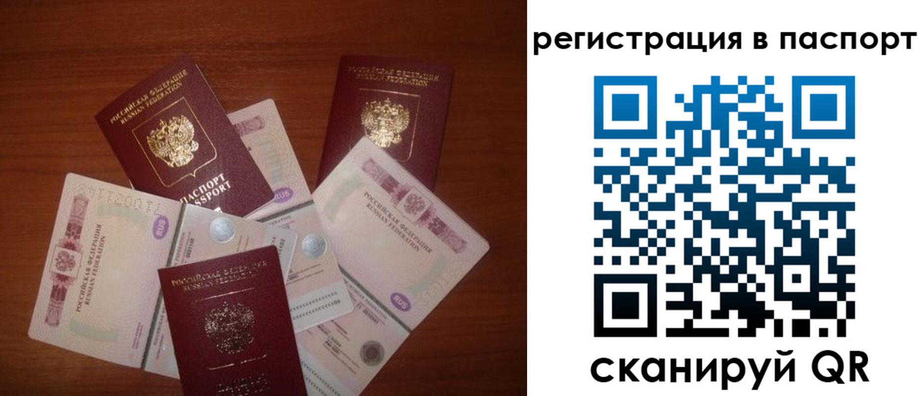 временная регистрация поиск в Мурманской области
